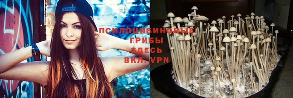 spice Абинск